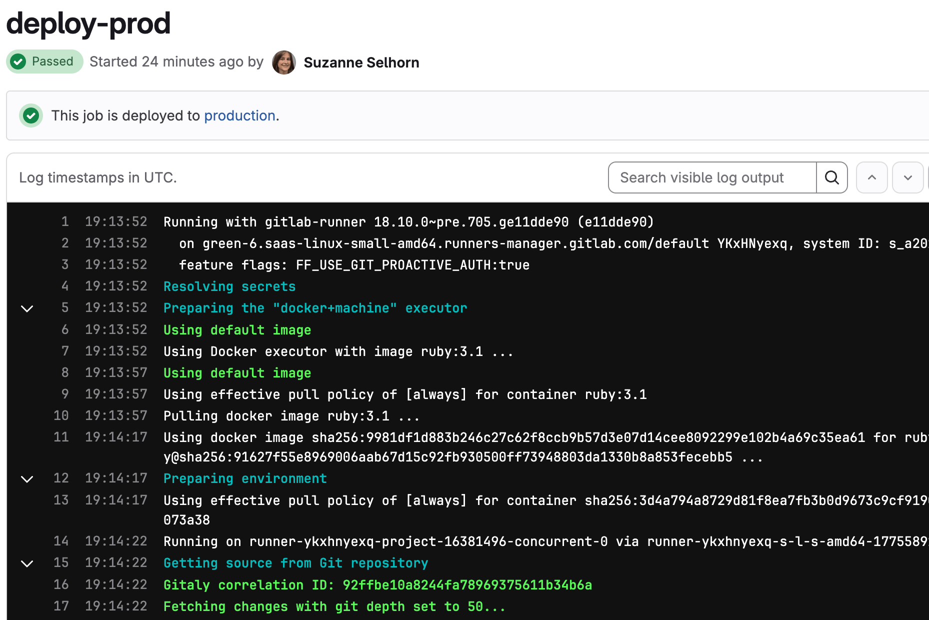The job details page shows the current status, timing information, and the output of the job log.